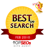 Website Audits