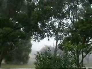 City Fog