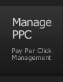 Pay Per Click Advertising