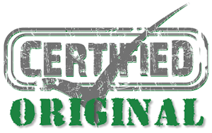Website Plagiarism